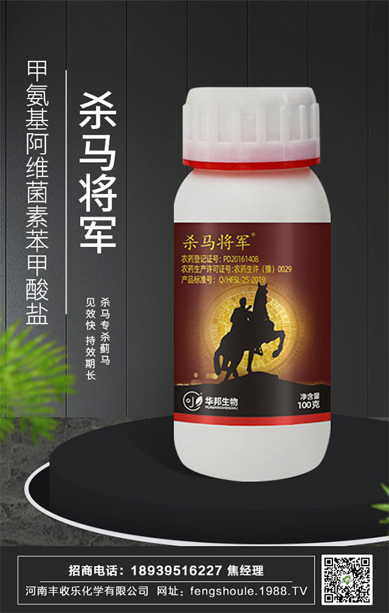 �������\�l(f��)չ�������S�՘��ٺ�1988.TV�_��(chu��ng)���x����