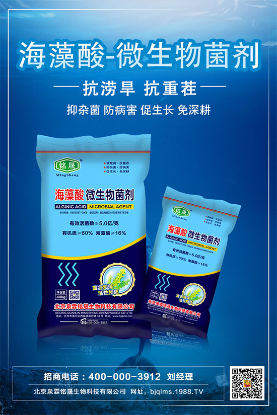 ⛷��Ј�(ch��ng)���ַ�(w��n)����2020.05.09⛷ʃr(ji��)�������߄�(sh��)������