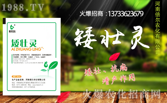 ���ϱ����m(x��)�s1988.TV���y�ֹ���(chu��ng)���x�ͣ�