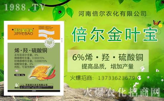 ���ϱ����m(x��)�s1988.TV���y�ֹ���(chu��ng)���x����