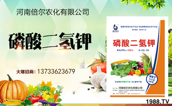 ���ϱ����m(x��)�s1988.TV���y�ֹ���(chu��ng)���x����