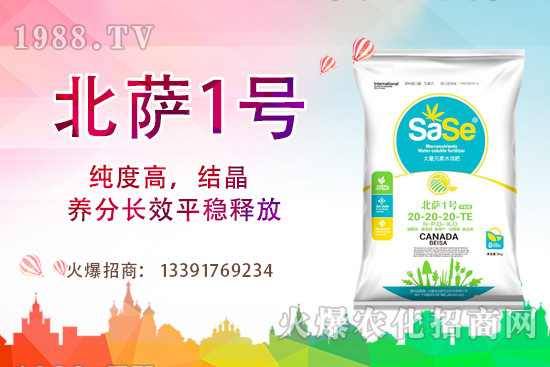 山茶花該怎么養(yǎng)，山茶花養(yǎng)殖方法和注意事項！