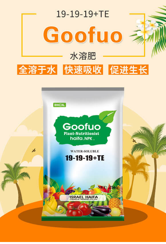 Goofuoˮ�ܷ�19-19-19+TE_01