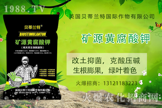 哈密瓜怎么種？哈密瓜種植應(yīng)該注意哪些事項(xiàng)？