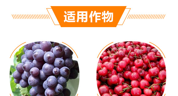 EM΢�����Һ+������-�gϲ��-ϲ�ϼ�_06