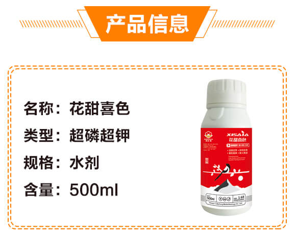 ���׳��00-400-500-����ϲɫ-ϲ�ϼ�_03