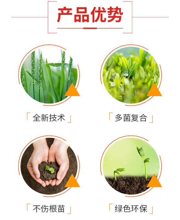 ���o��-��˹��_03