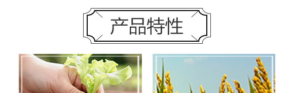 �S���������ЙC����-С����-�r��һ_05