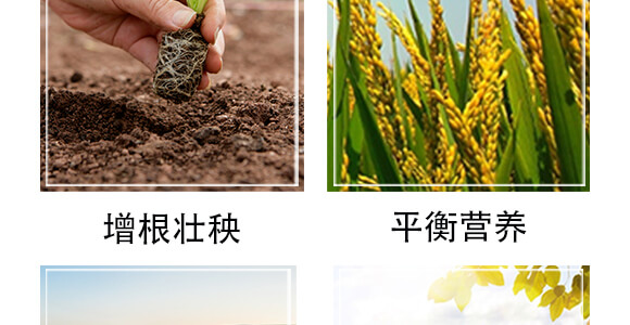 �S������΢�ЙC����-С����-�r(n��ng)��һ_06