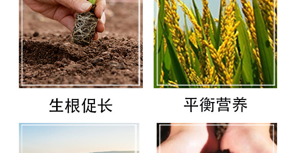 �S���������ЙC����-С����-�r��һ_06