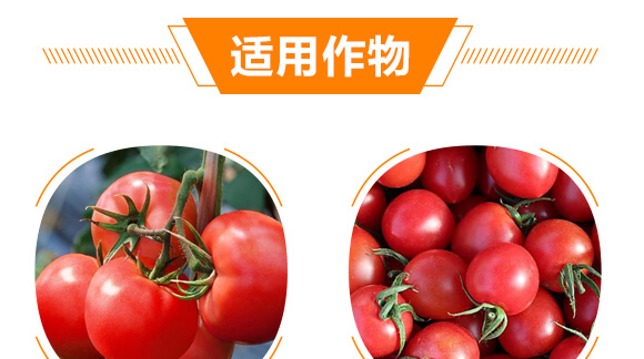 ���ь��üt�M��-������-���r(n��ng)���_08