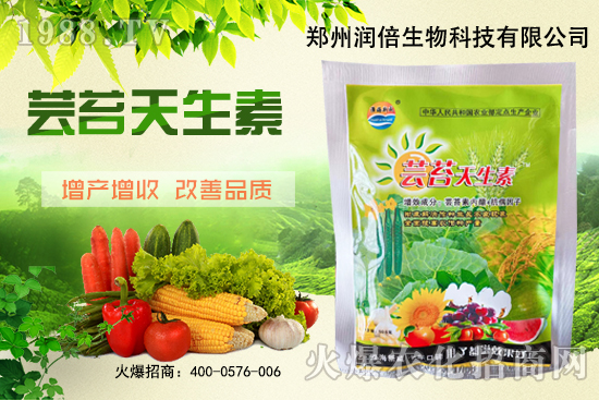 �S�B������ô�������S�B���ڲ��x��������