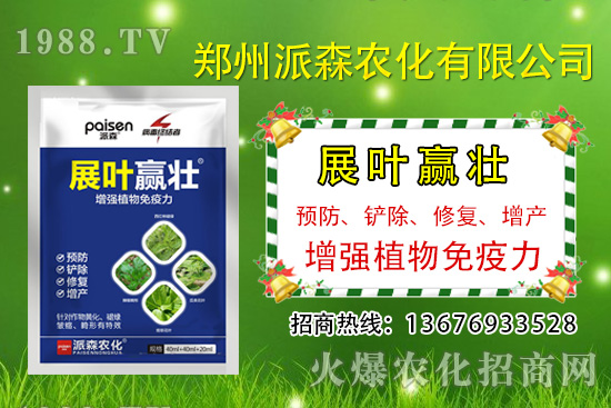 韭菜什么時(shí)候播種？韭菜市場(chǎng)前景如何？（種植成本及利潤(rùn)分析）