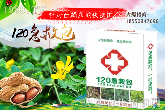 �S�ϼ޽���ʲô��̎����������S�ϼ޽�����