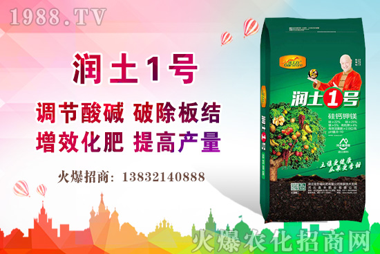 ���؃r(ji��)��