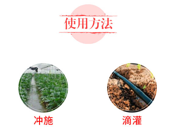 �{(di��o)����΢������ʡ���Ȼ��-��ʢ��ɽ_05