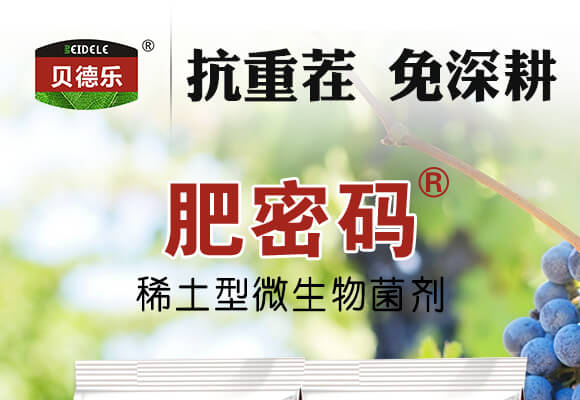 ϡ��΢�������-���ܴa-ؐ��_01