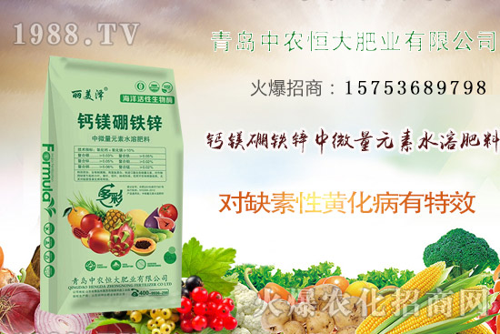 韭菜什么時候播種？韭菜市場前景如何？（附種植成本及利潤分析）