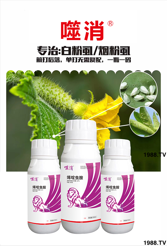 10%ϩ��x��-����-嫪{�r(n��ng)�I(y��)