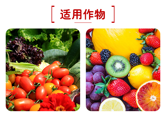 廣西新啟力生態(tài)科技有限公司產(chǎn)品詳情頁2_07