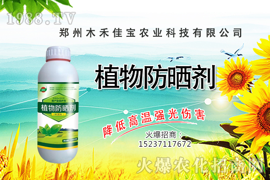 芽苗菜種植前景怎么樣，芽苗菜種植技術(shù)有哪些？