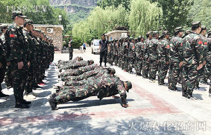 �l(f��)�P(y��ng)�t��������  �T���FѪ܊��