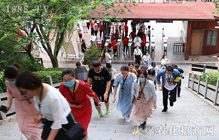 �^���_�� ��������