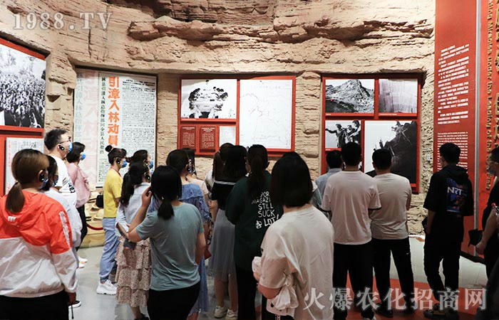 ��P(y��ng)�t�����ľ��񡪡������������D���^��