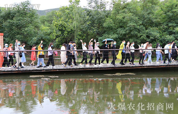 ��P(y��ng)�t�����ľ��񡪡������������D���^��