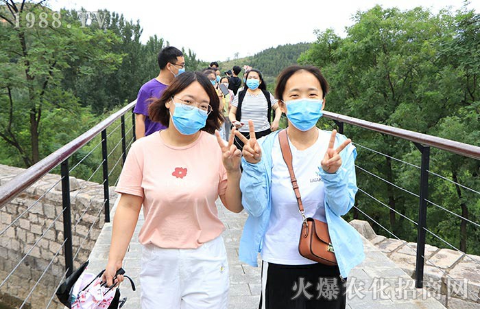 2020������Ӗ(x��n)����