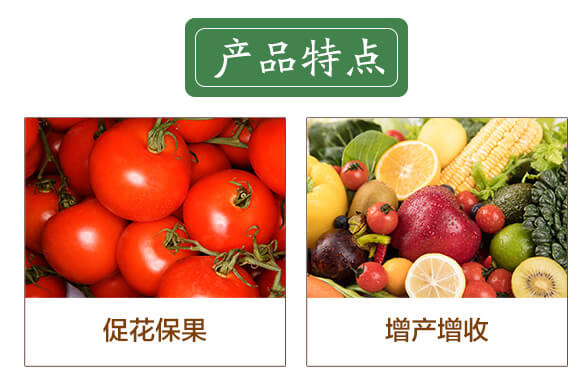 ���a(ch��n)��Ԫ-�|����-������_03