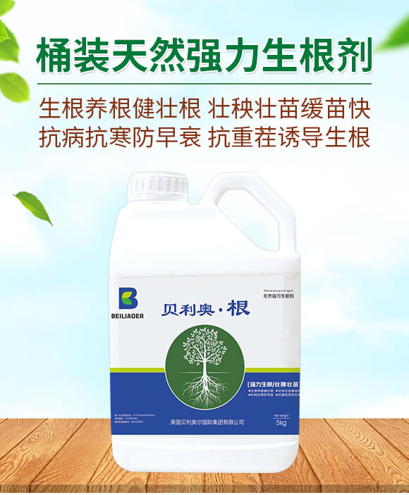 Ͱ�b��Ȼ��(qi��ng)��������-ؐ���W����-�����S_01