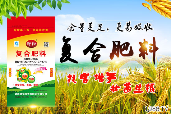 血橙有哪些營(yíng)養(yǎng)價(jià)值？吃血橙有什么好處？