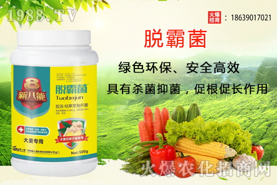 �����Nֲ�xʲôƷ�N�������Nֲǰ��������Ʒ�N���]��