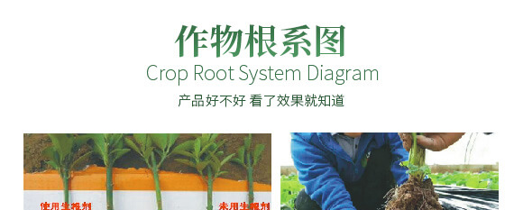 �r(n��ng)��ڈ@���＼�g(sh��)���޹�˾2_12