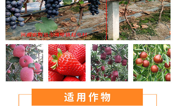 �����v�S�r(n��ng)�I(y��)�Ƽ����޹�˾_11