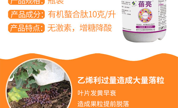 �����v�S�r(n��ng)�I(y��)�Ƽ����޹�˾_03