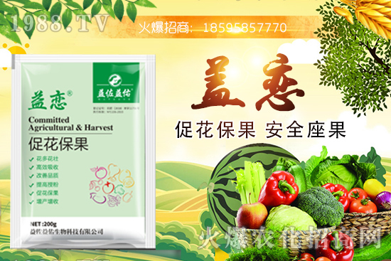 ��֦�ĠI�B(y��ng)�ɷ�����Щ����֦�ܶ�Ԇ��������m����Ⱥ��