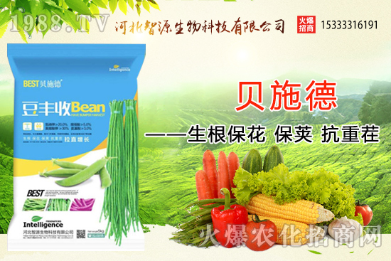 �ӱ���Դ�ٶȔy��1988.TV���y�ֹ���(chu��ng)��(zh��n)����