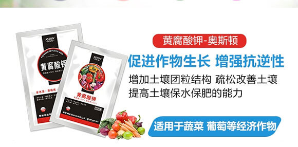 �VԴ�S�����-�W˹�D_03