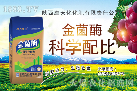 �Nһ���O���ĳɱ��Ƕ������ж����������O���Nֲ���g(sh��)�c������