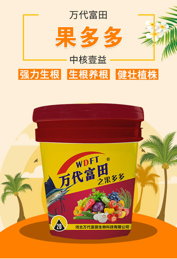 �����-�к�Ҽ��_01