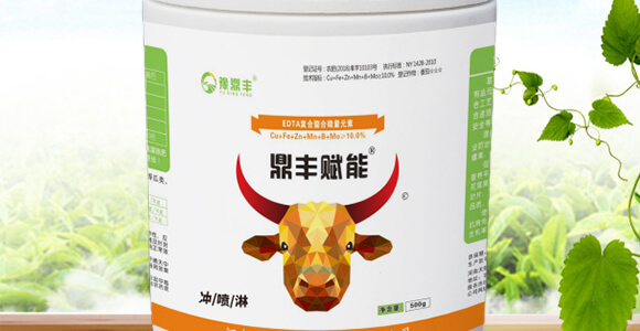 ���S�x��-���n����_02