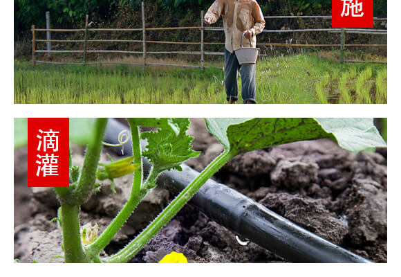 山東濟寧金網(wǎng)聯(lián)配方肥有限公司產(chǎn)品詳情頁1_08