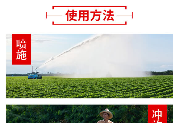 山東濟寧金網聯(lián)配方肥有限公司產品詳情頁2_07