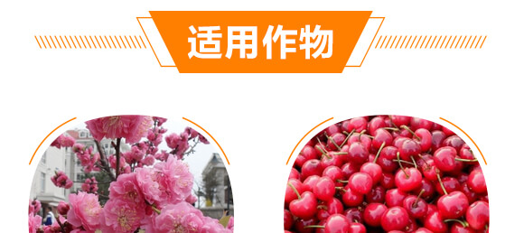 ��(f��)��΢����_ʩ��-�{�������-���w��-���W����_10