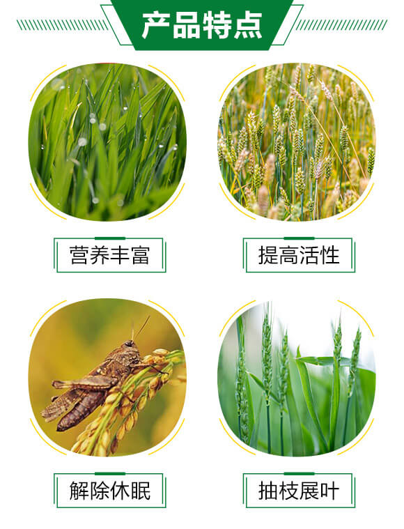 ����ᘝ�sҺ-����-�³�_03