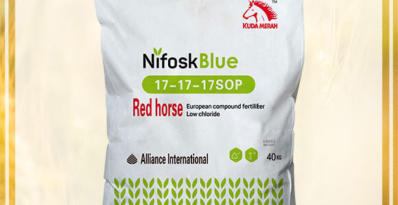 �M(j��n)�ڏ�(f��)�Ϸ�-�����Ի��W(xu��)����17-17-17SOP-KUDAMERAH��(k��)�_(d��)÷��_02