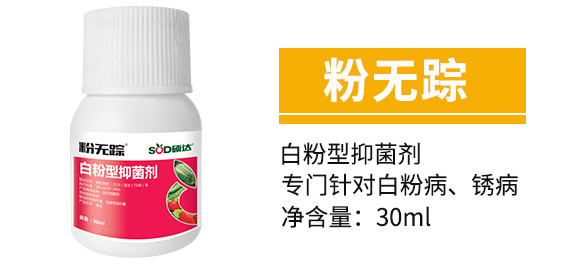 �׷����־���-�۟o(w��)ۙ-�T�_(d��)_05