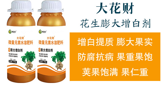 �����ٻ���ᘷ�辄�-��ؔ(c��i)-�G������_04